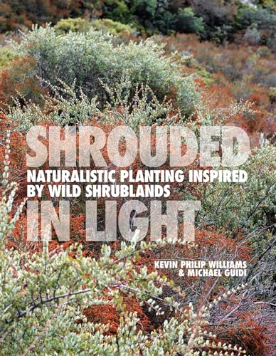 Shrouded in Light — Kevin Philip Williams & Michael Guidi