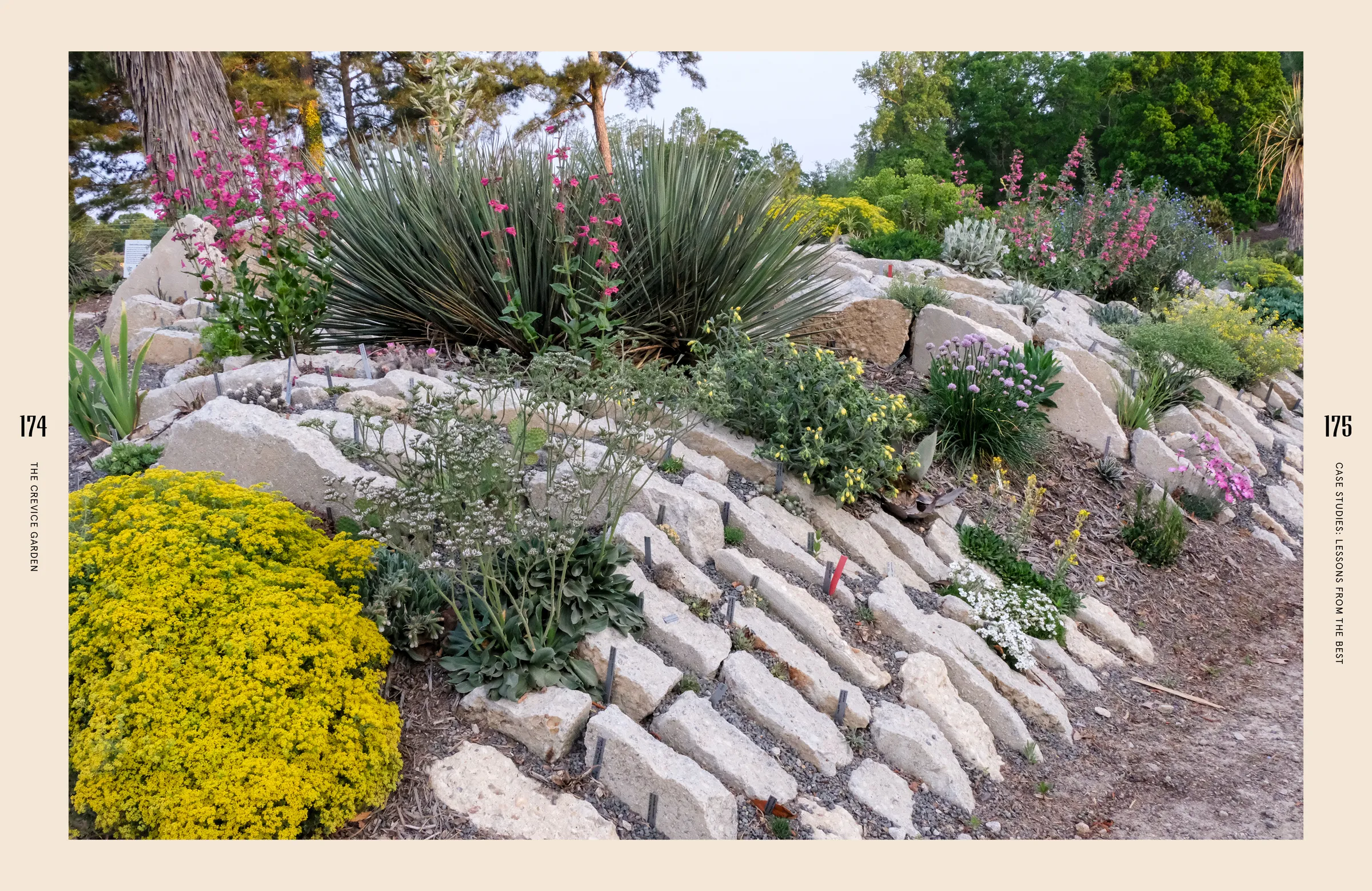Book spread: humid crevice gardening at Juniper Level Botanic Garden