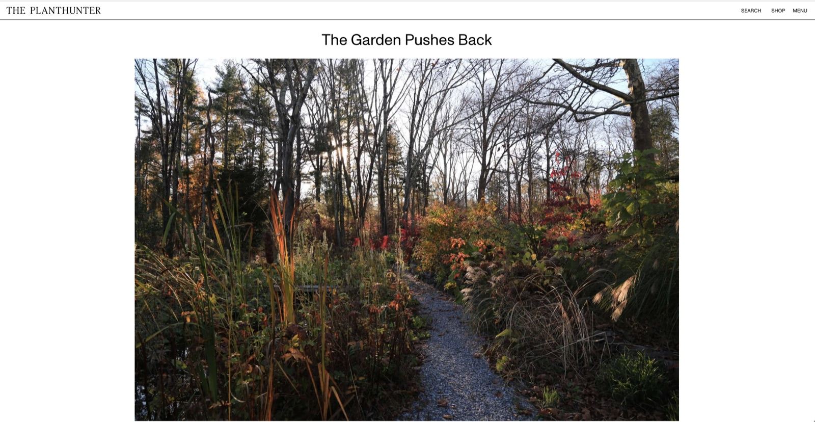 The Garden Pushes Back — chapter on Wonderground
