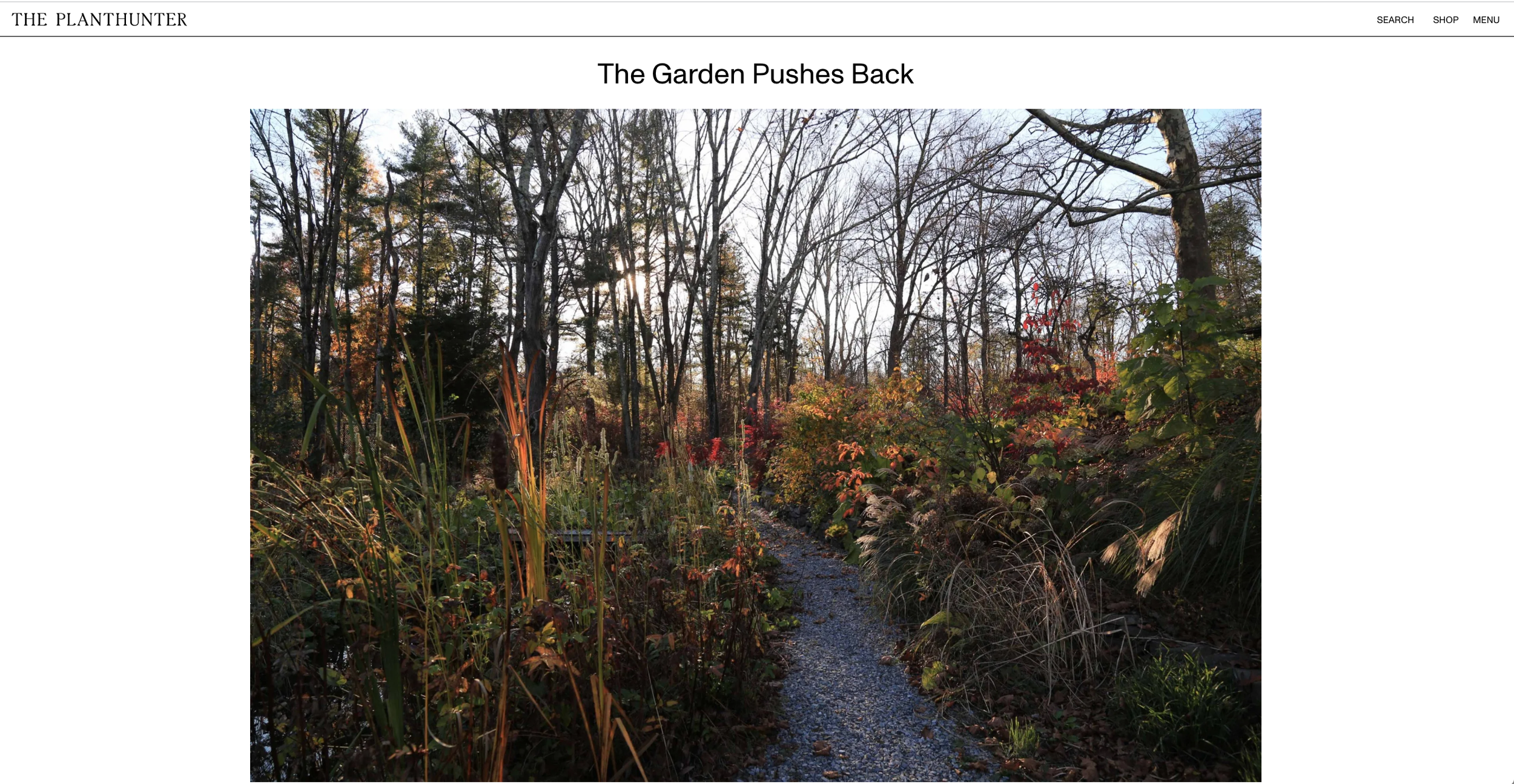 The Garden Pushes Back — chapter on Wonderground