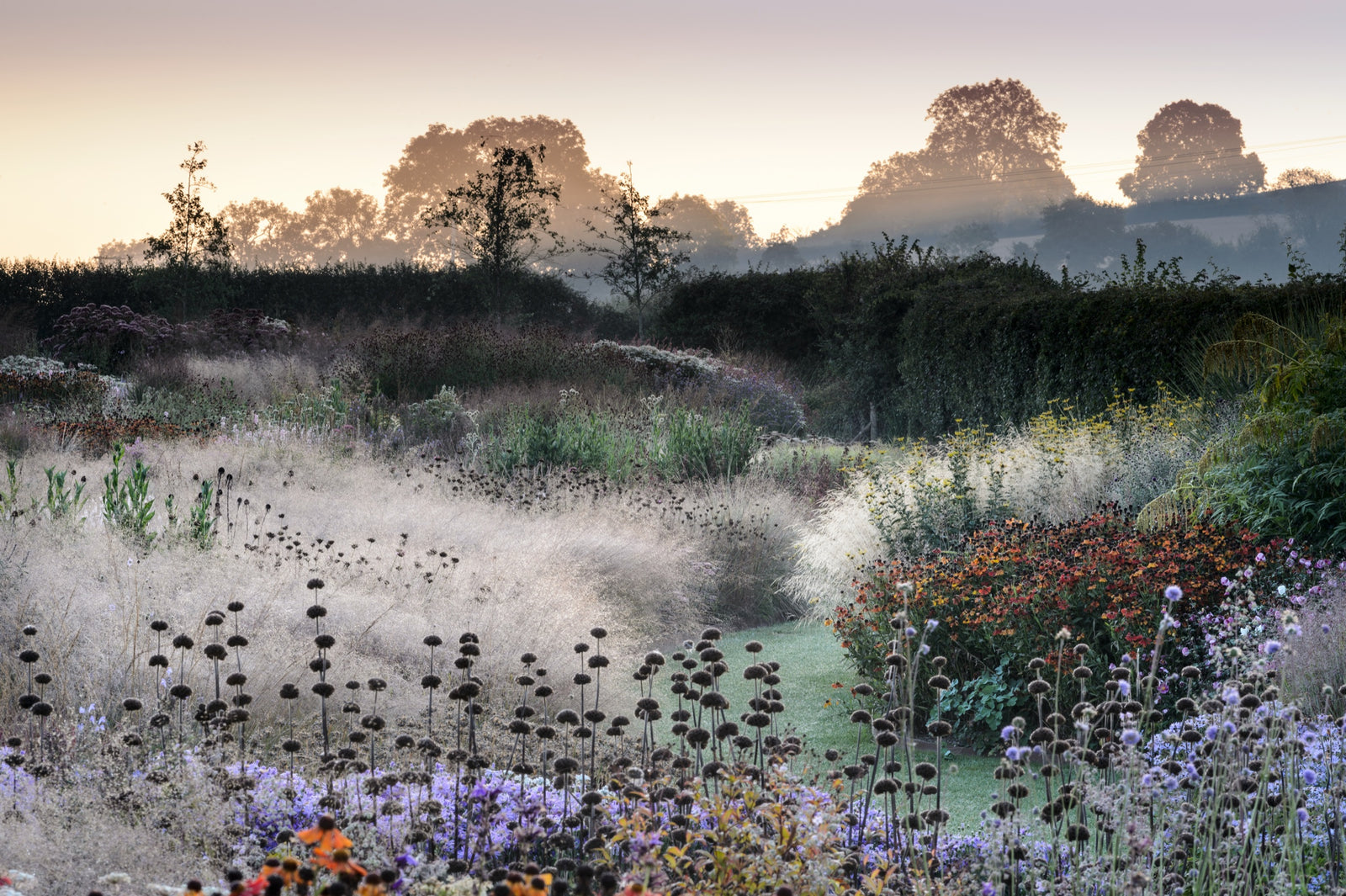 Naturalistic perennial planting with grasses and seedheads in autumn morning mist