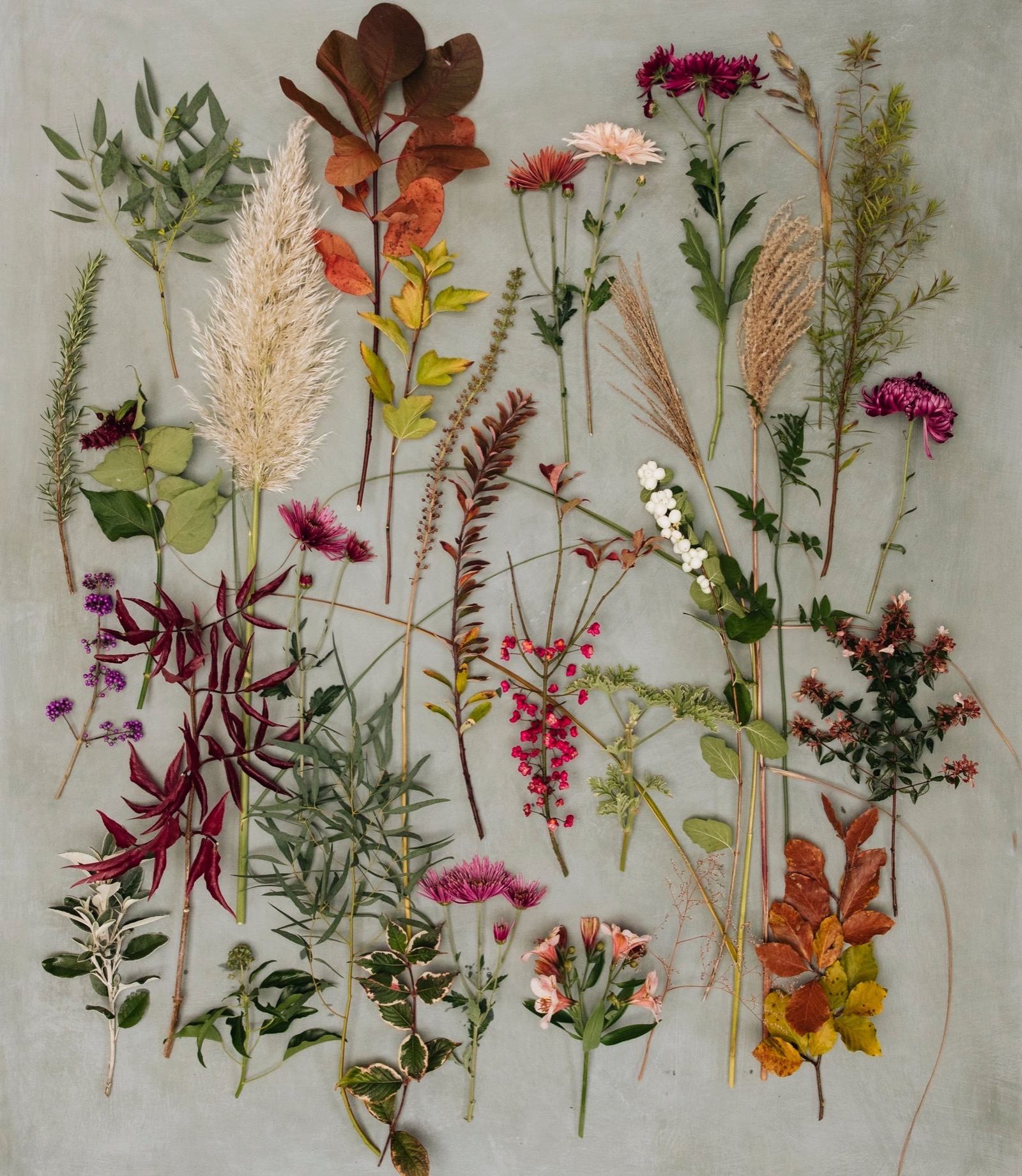 A tableau of perennials, grasses and leaves cut for arranging