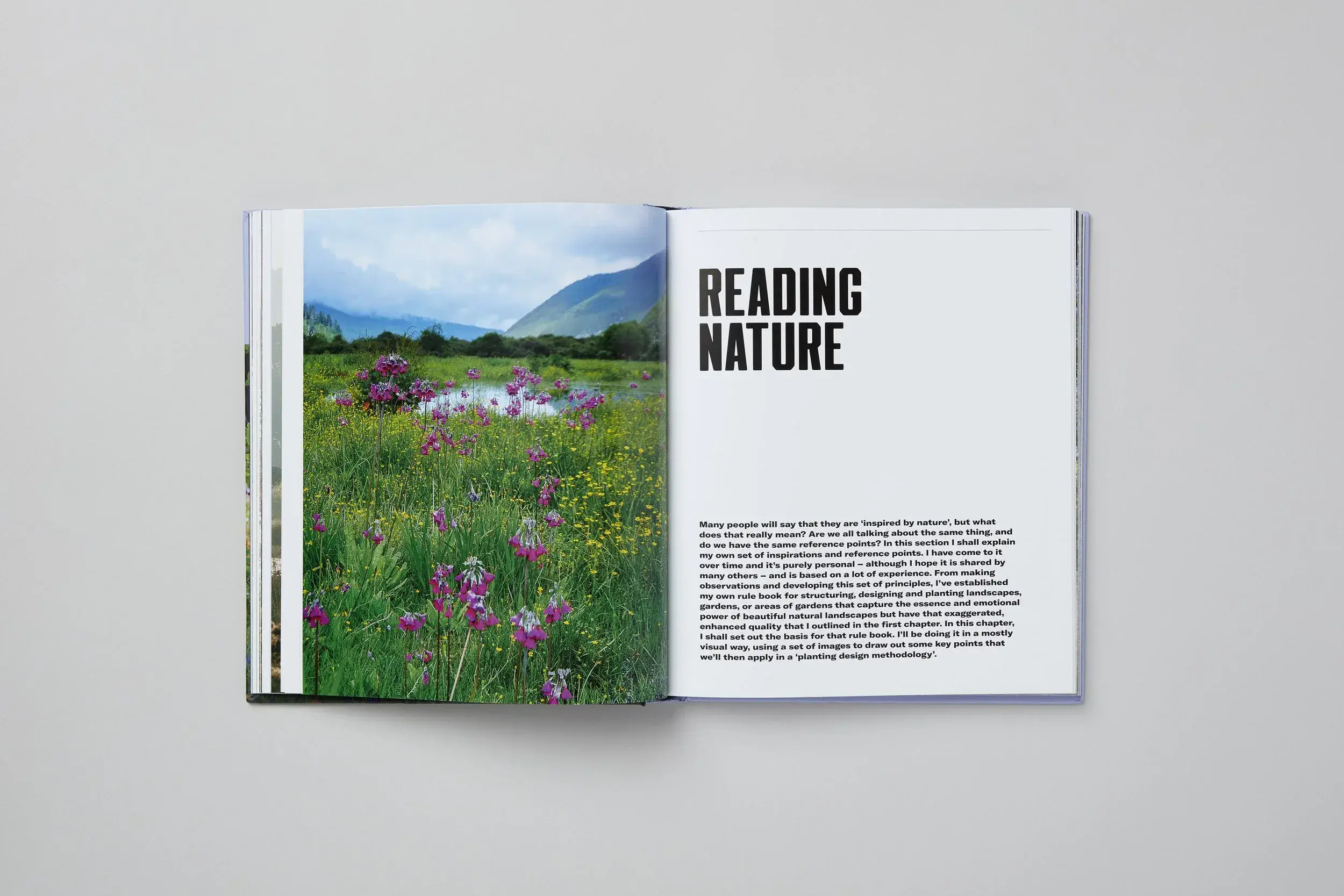 Immersive naturalistic meadow planting with colour, rhythm and layered plant communities