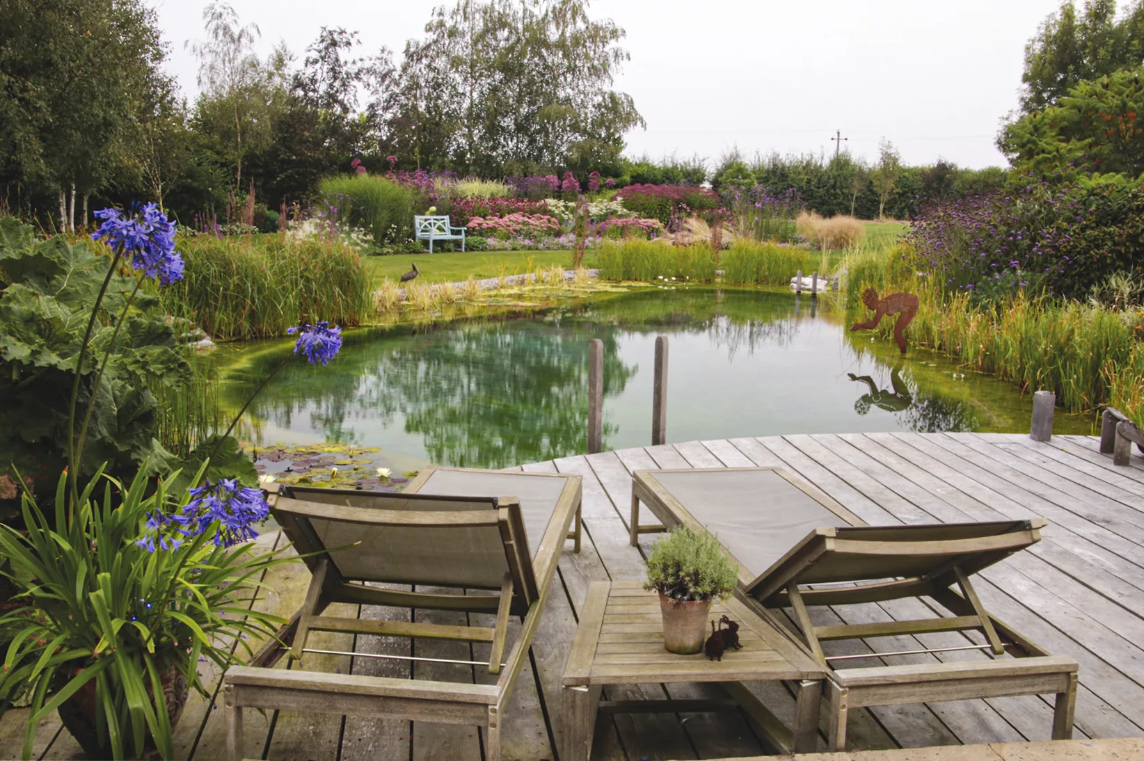 A naturalistic swimming pool with a planted regeneration zone alongside the clear swimming water