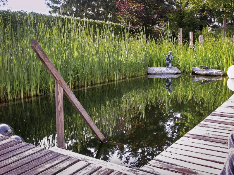 A formally designed natural pool with plants as the main purifier