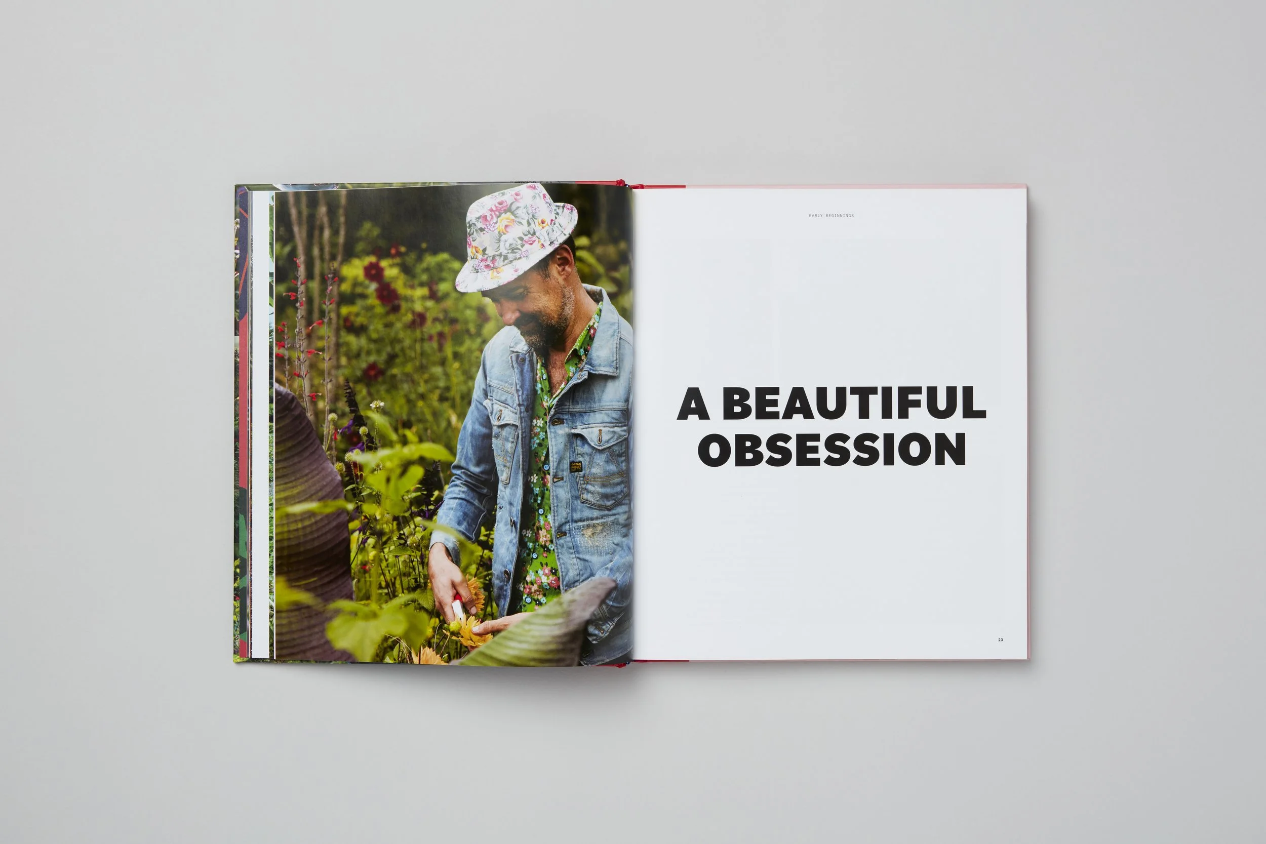 Innenseite aus A Beautiful Obsession, Foto 1 von 18