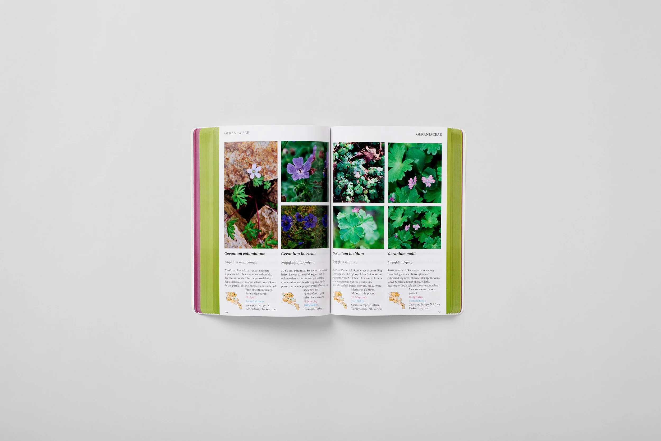 Innenseite aus A Field Guide to the Plants of Armenia, Foto 5 von 6