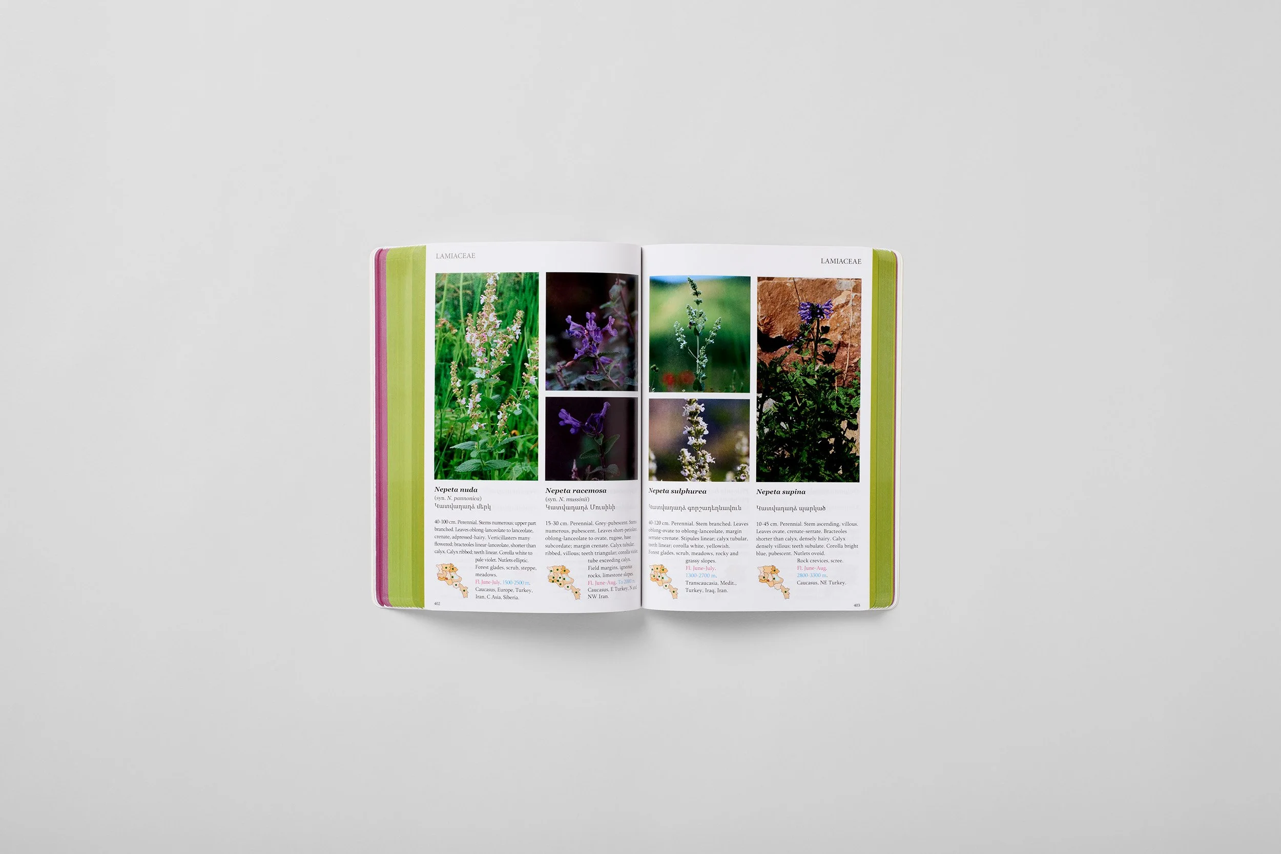 Innenseite aus A Field Guide to the Plants of Armenia, Foto 6 von 6