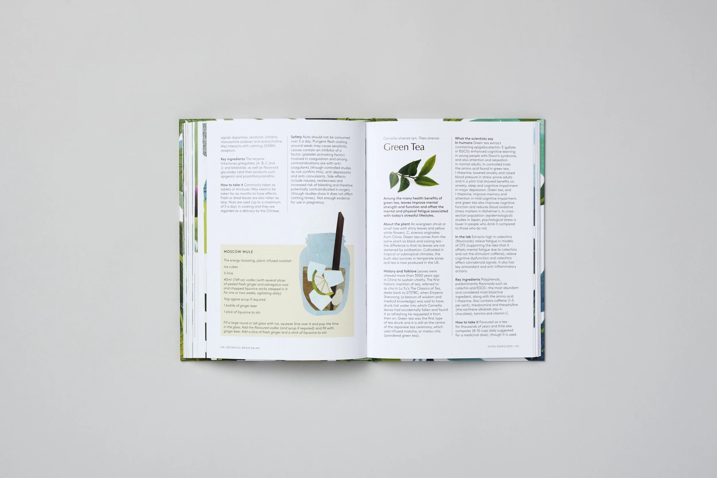 Innenseite aus Botanical Brain Balms, Foto 9 von 11