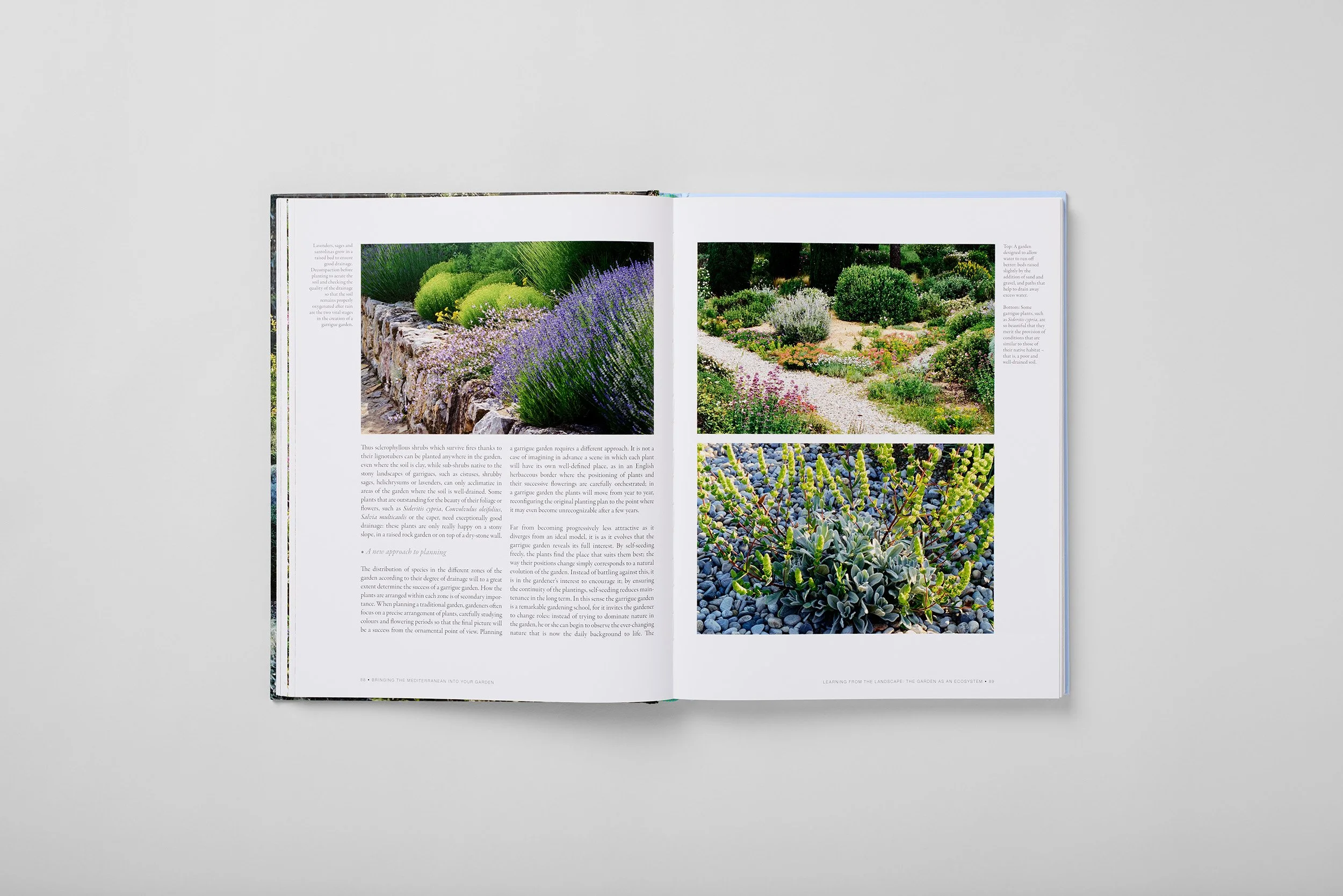 Innenseite aus Bringing the Mediterranean into your Garden, Foto 1 von 6