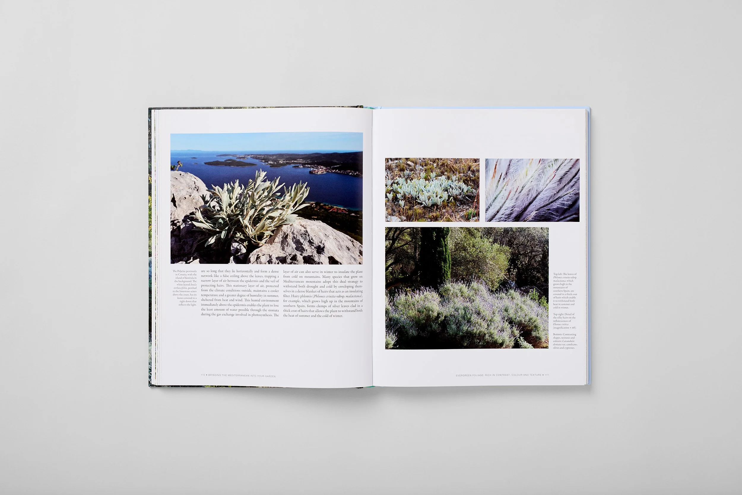 Innenseite aus Bringing the Mediterranean into your Garden, Foto 4 von 6