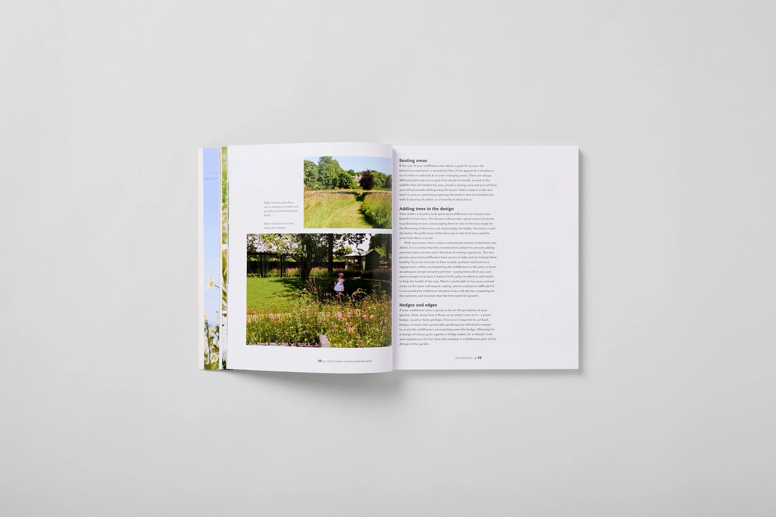 Innenseite aus How to Make a Wildflower Meadow, Foto 2 von 6