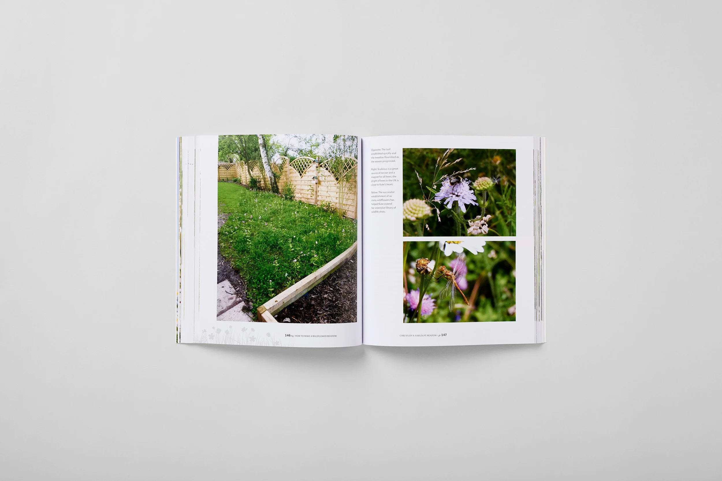 Innenseite aus How to Make a Wildflower Meadow, Foto 4 von 6