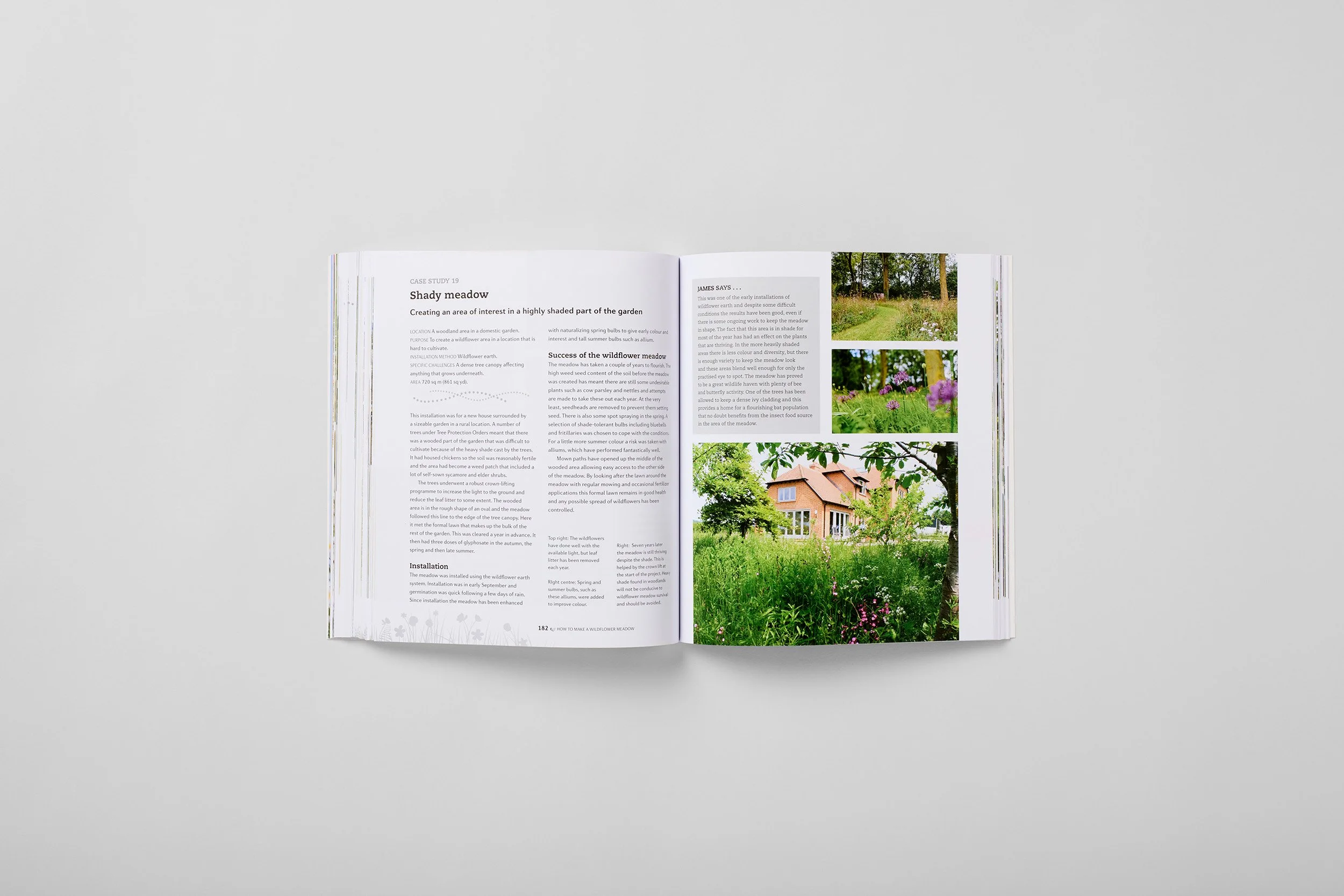 Innenseite aus How to Make a Wildflower Meadow, Foto 5 von 6