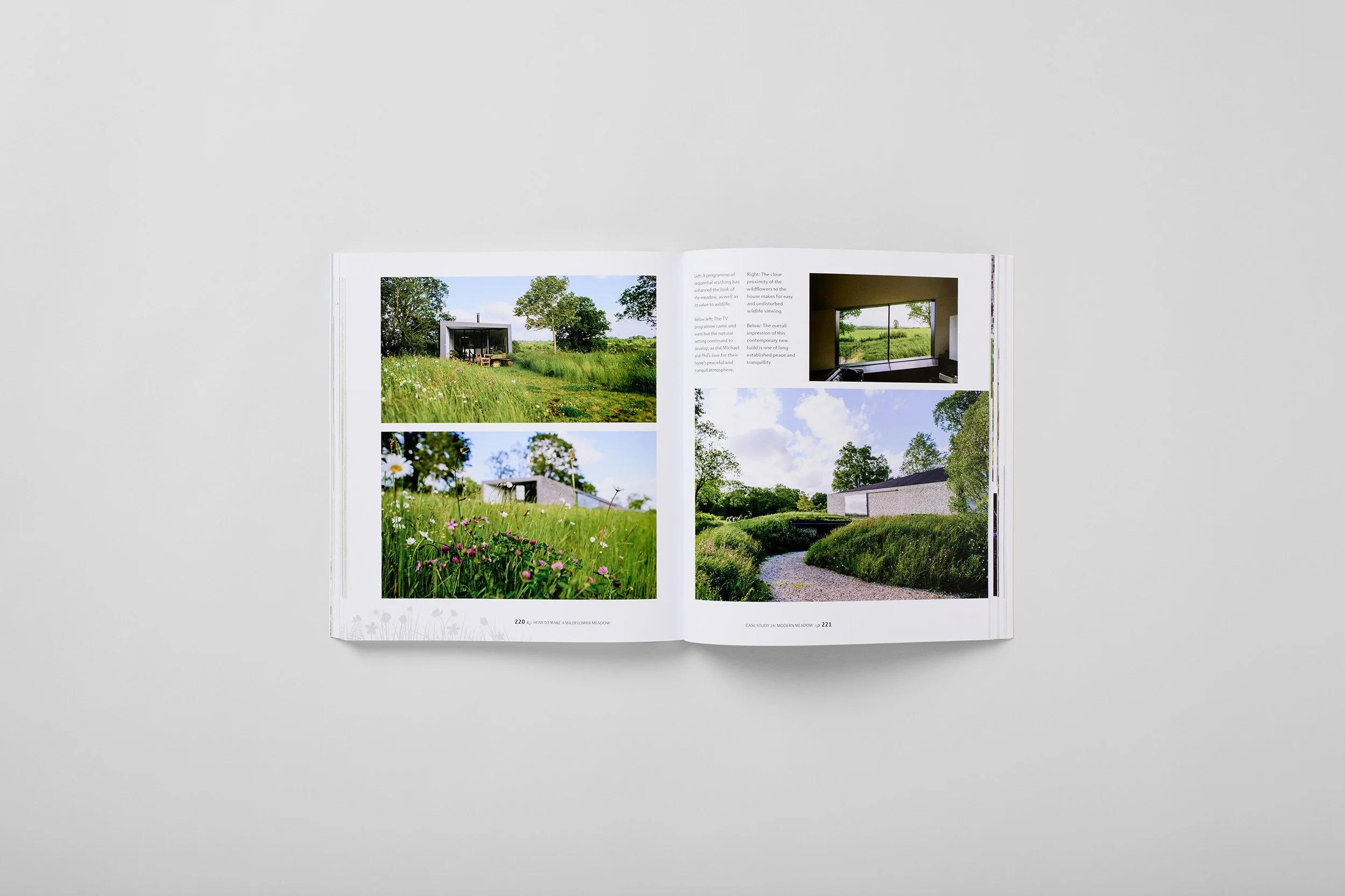 Innenseite aus How to Make a Wildflower Meadow, Foto 6 von 6
