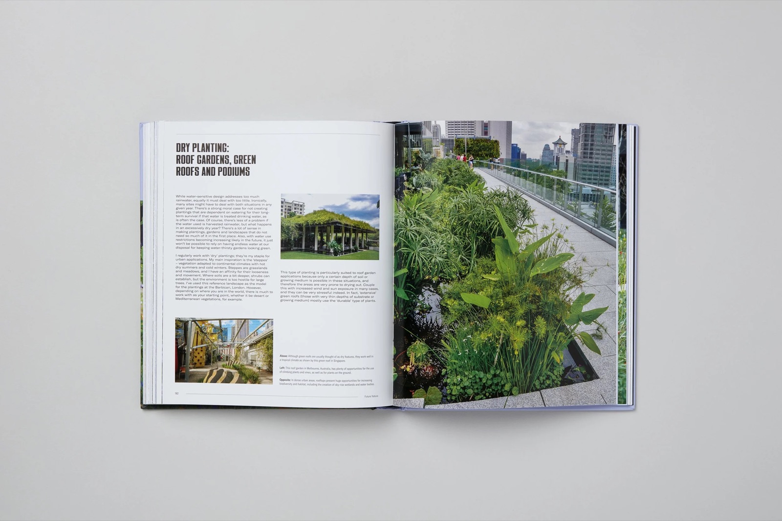 Interior spread from Naturalistic Planting Design