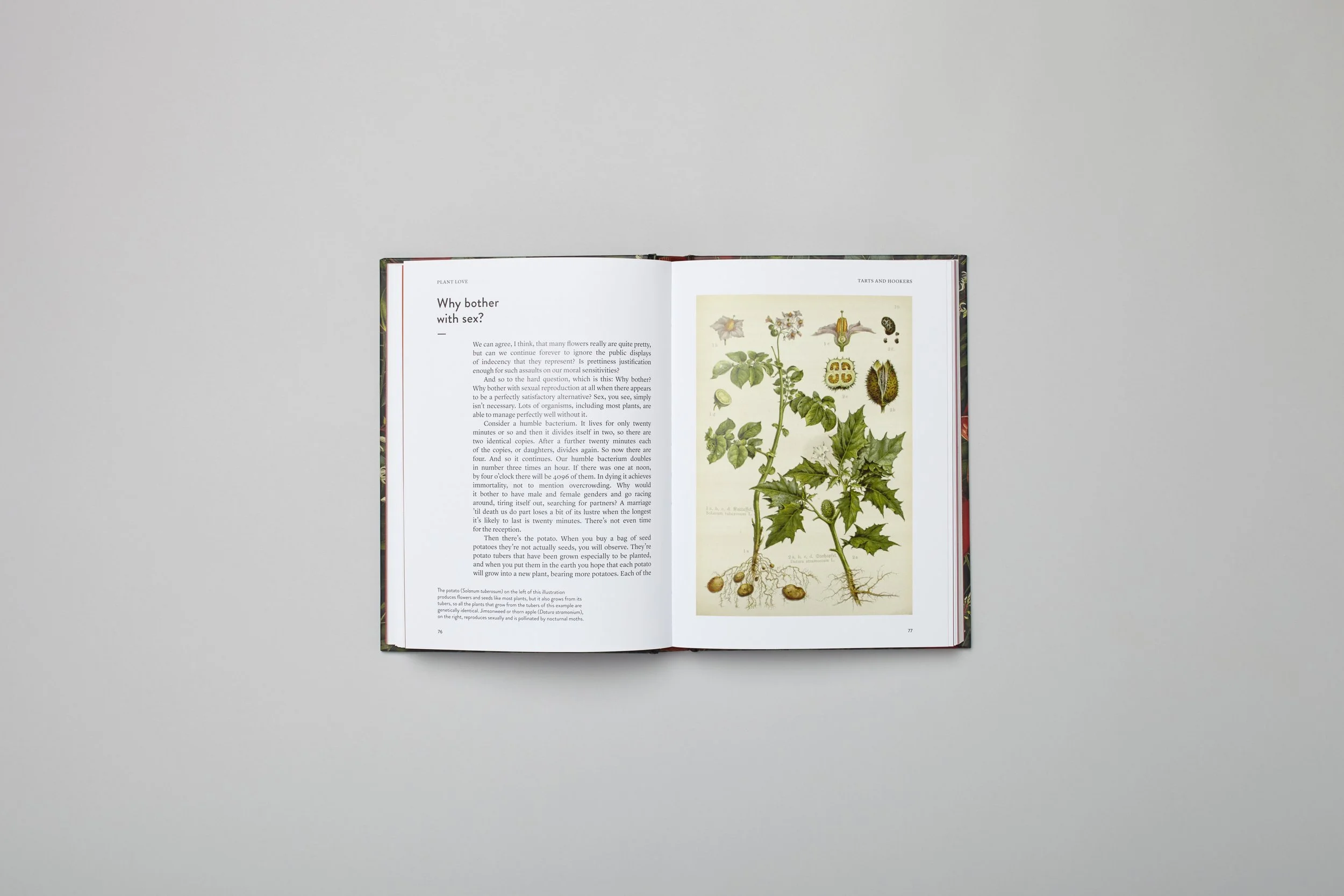 Innenseite aus Plant Love, Foto 1 von 4