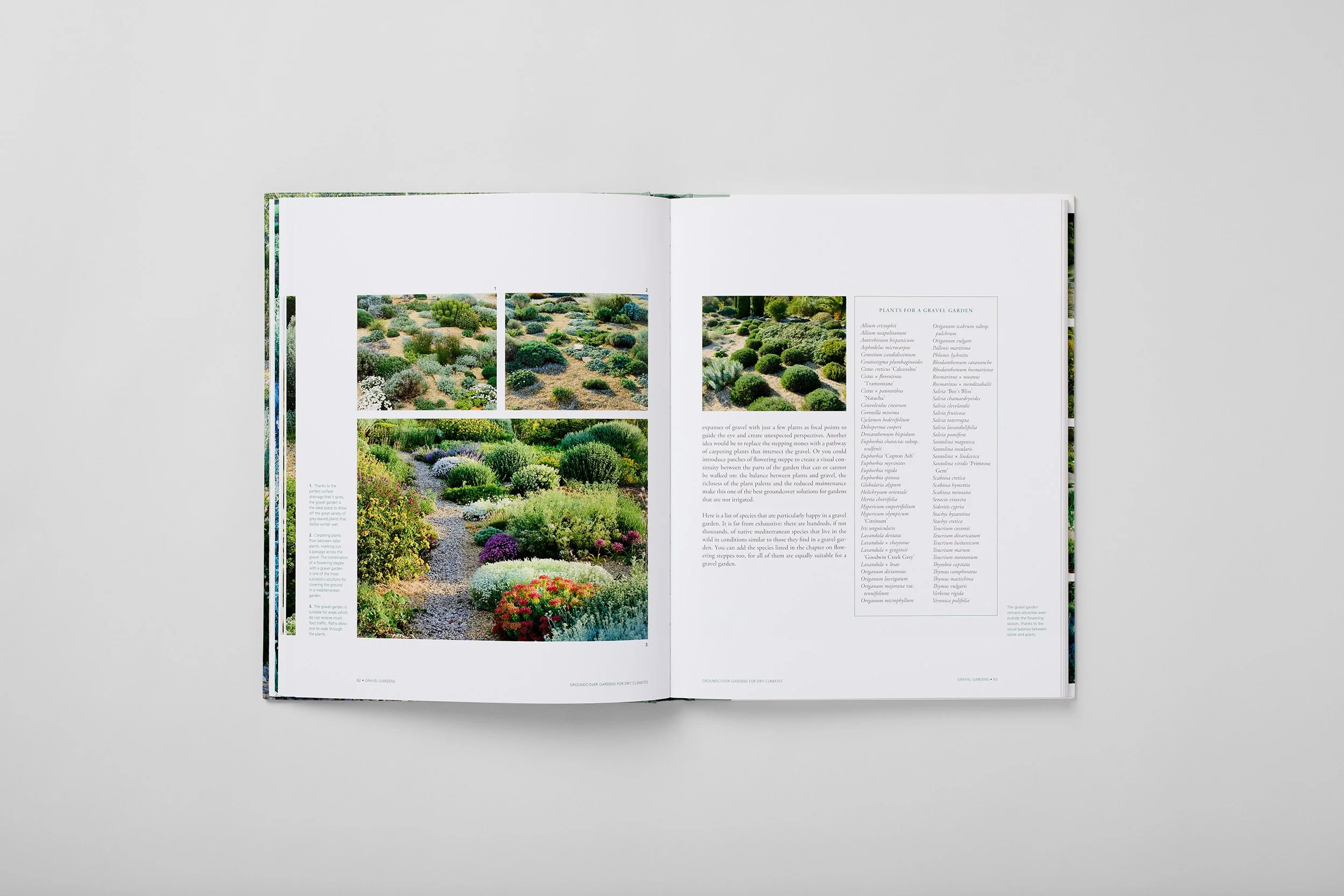 Innenseite aus Planting Design for Dry Gardens, Foto 2 von 6