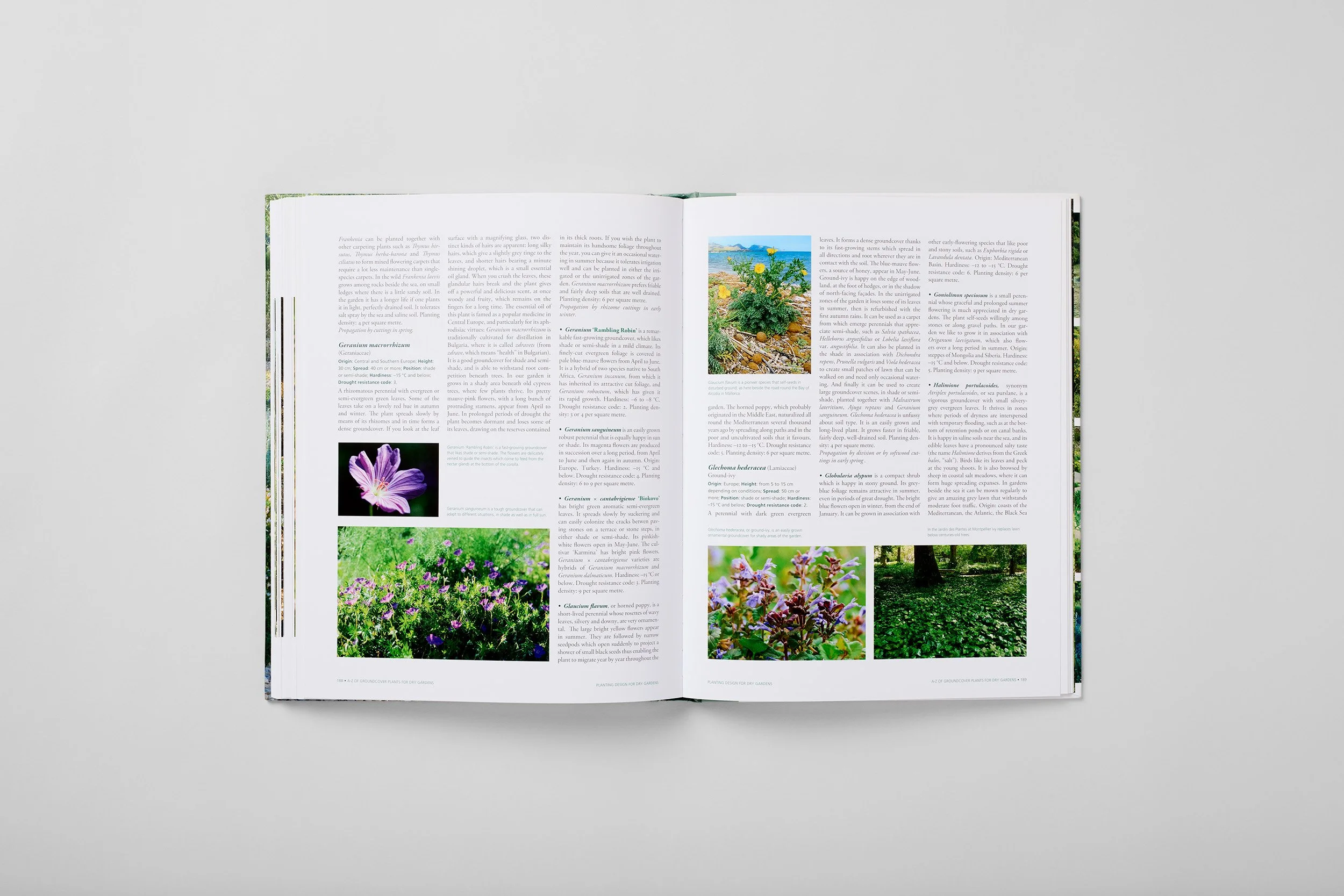 Innenseite aus Planting Design for Dry Gardens, Foto 5 von 6