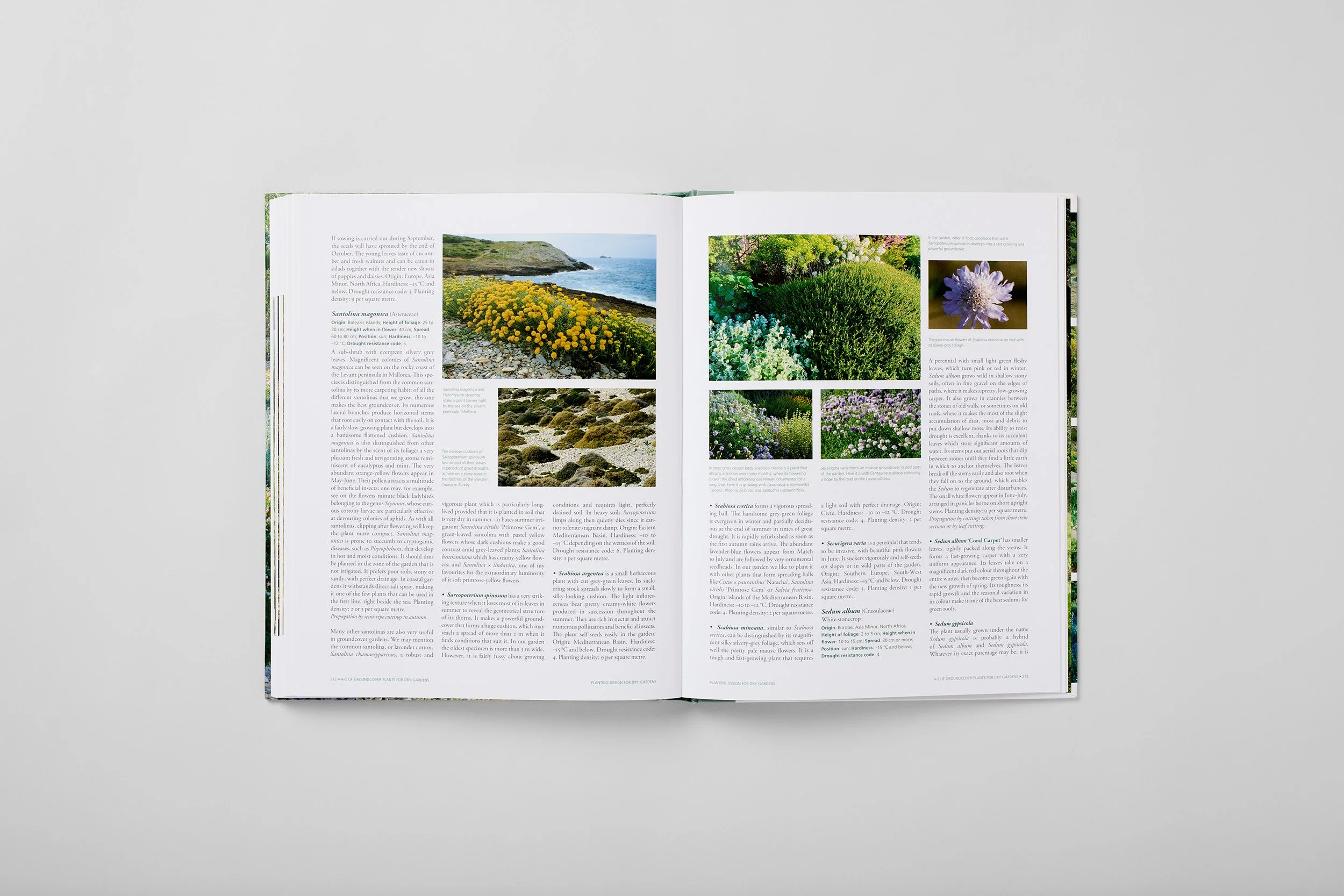 Innenseite aus Planting Design for Dry Gardens, Foto 6 von 6
