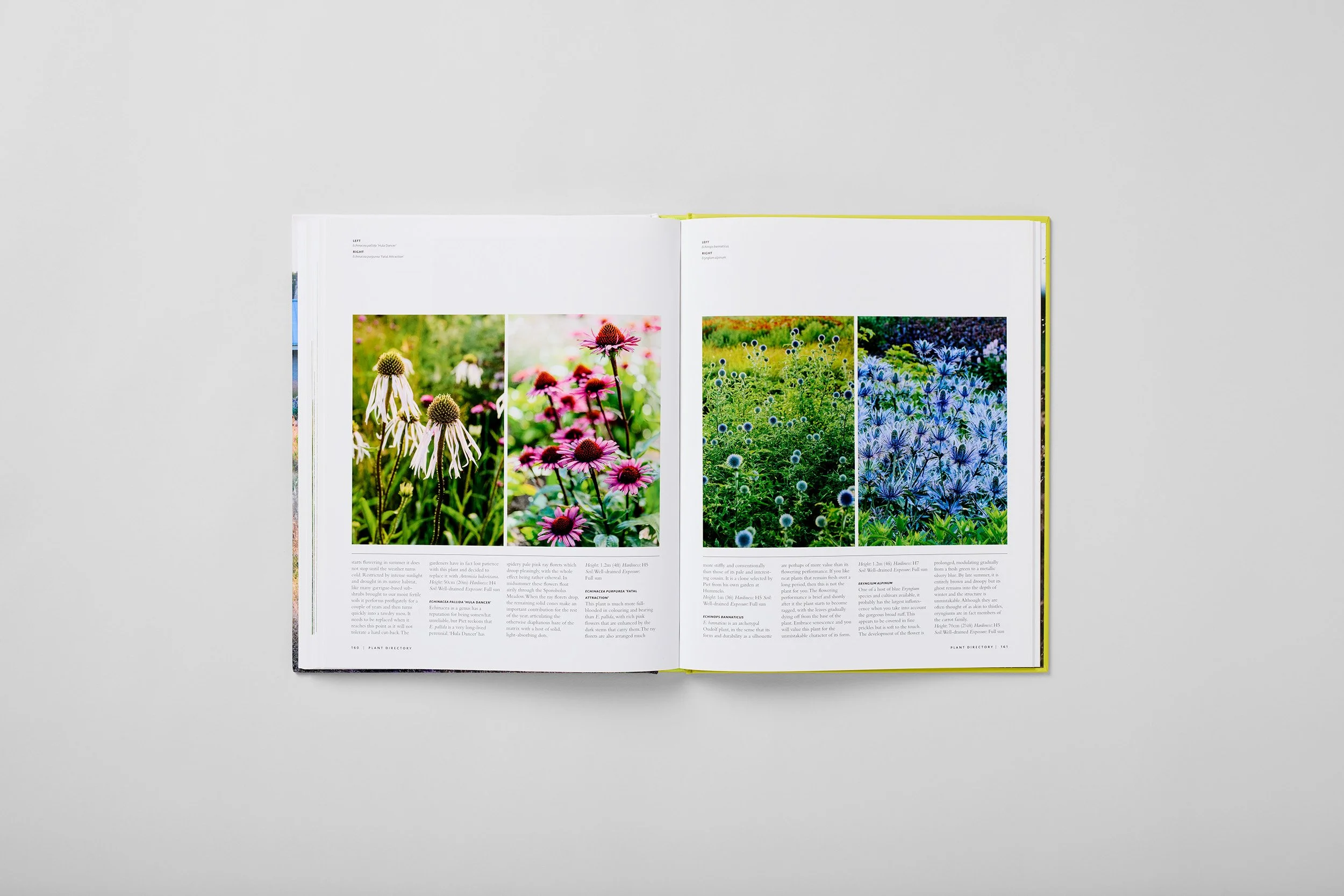 Innenseite aus Planting the Oudolf Gardens at Hauser & Wirth Somerset, Foto 4 von 6