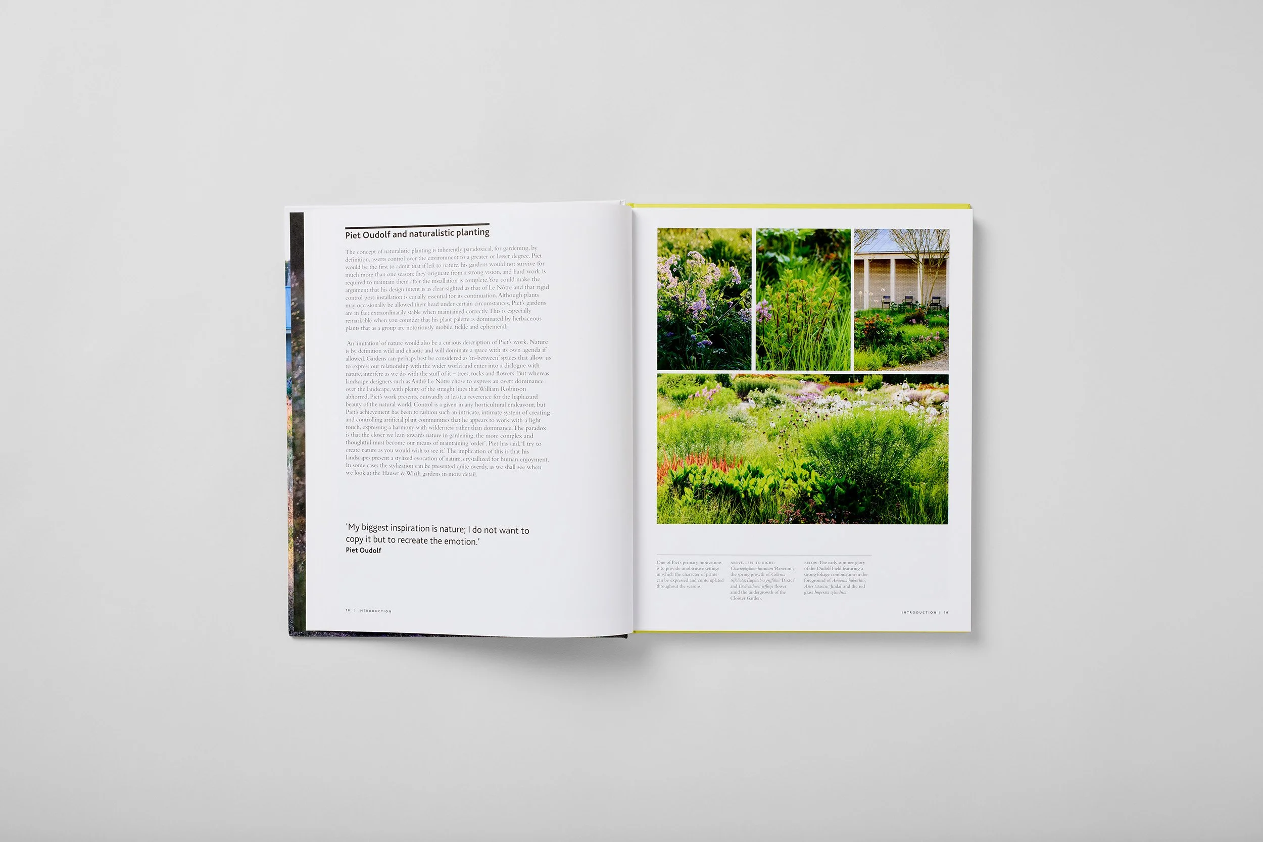 Innenseite aus Planting the Oudolf Gardens at Hauser & Wirth Somerset, Foto 6 von 6