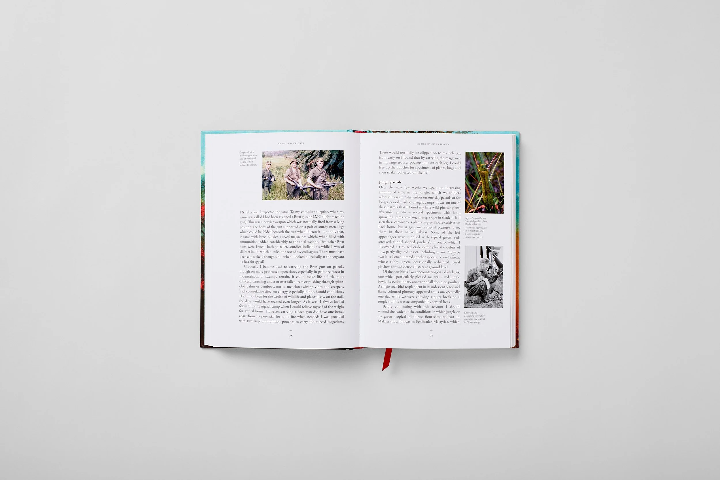 Innenseite aus Roy Lancaster: My Life with Plants, Foto 1 von 6