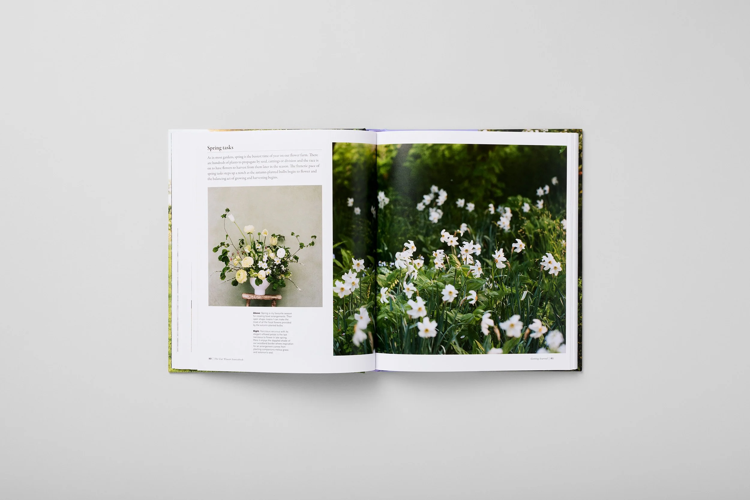 Interior spread from The Cut Flower Sourcebook, photograph 1 of 4