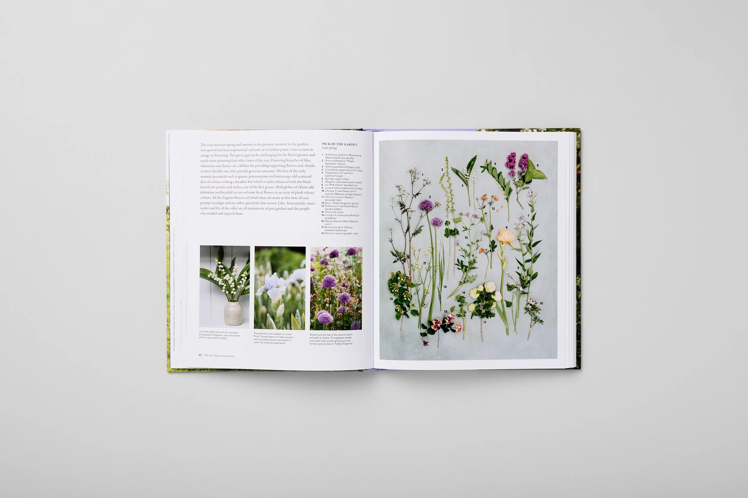 Interior spread from The Cut Flower Sourcebook, photograph 4 of 4
