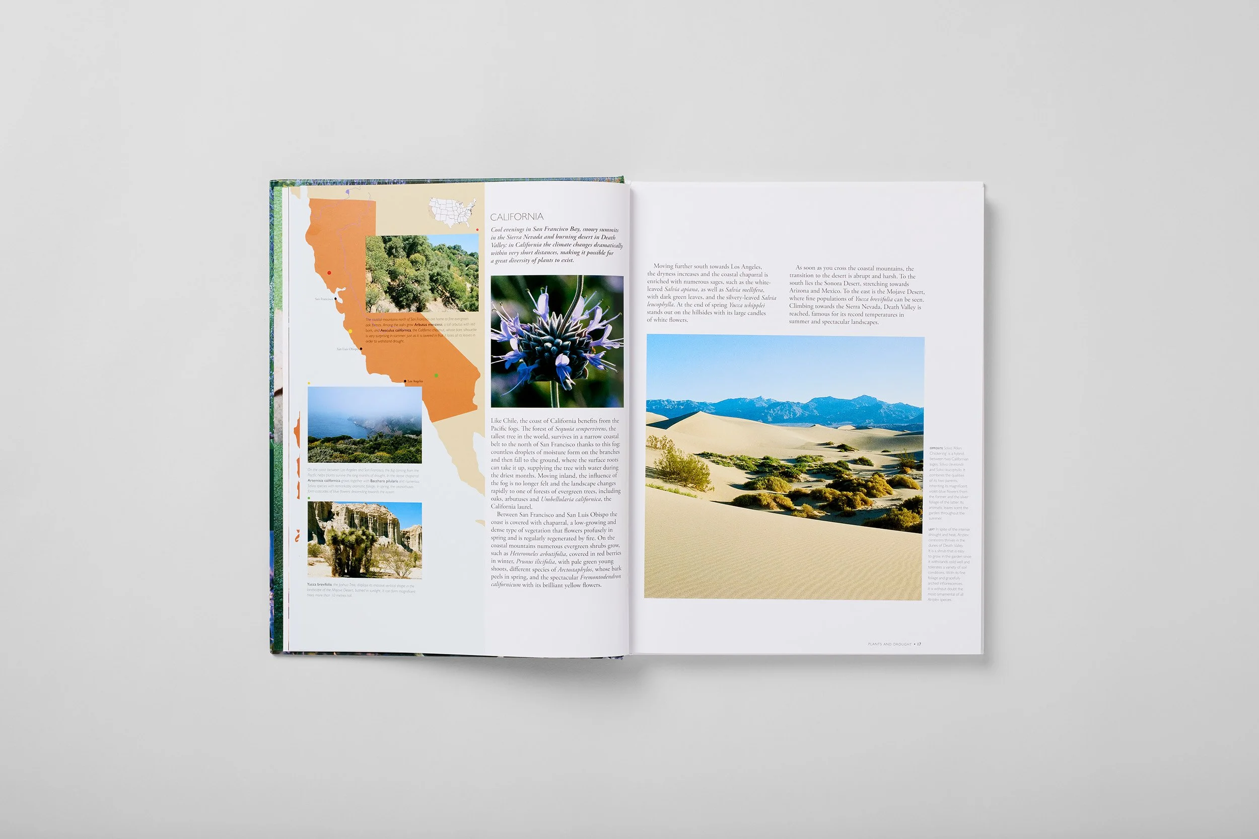 Innenseite aus The Dry Gardening Handbook, Foto 1 von 6