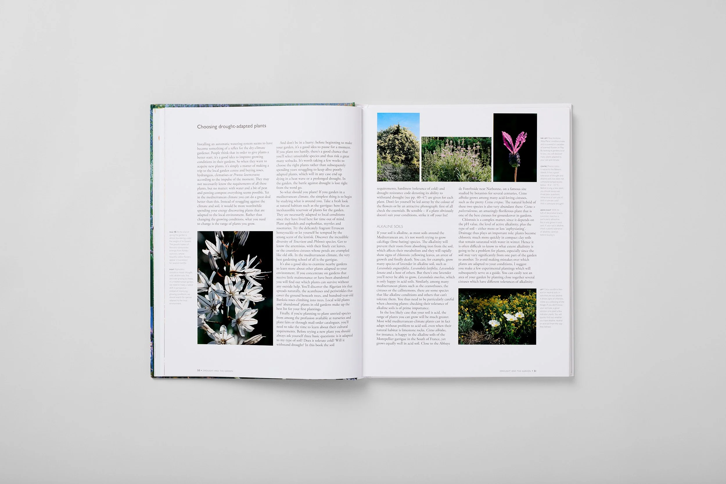 Innenseite aus The Dry Gardening Handbook, Foto 2 von 6