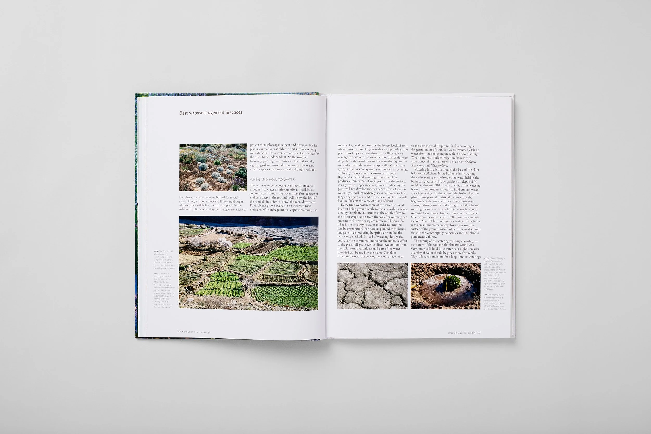Innenseite aus The Dry Gardening Handbook, Foto 3 von 6