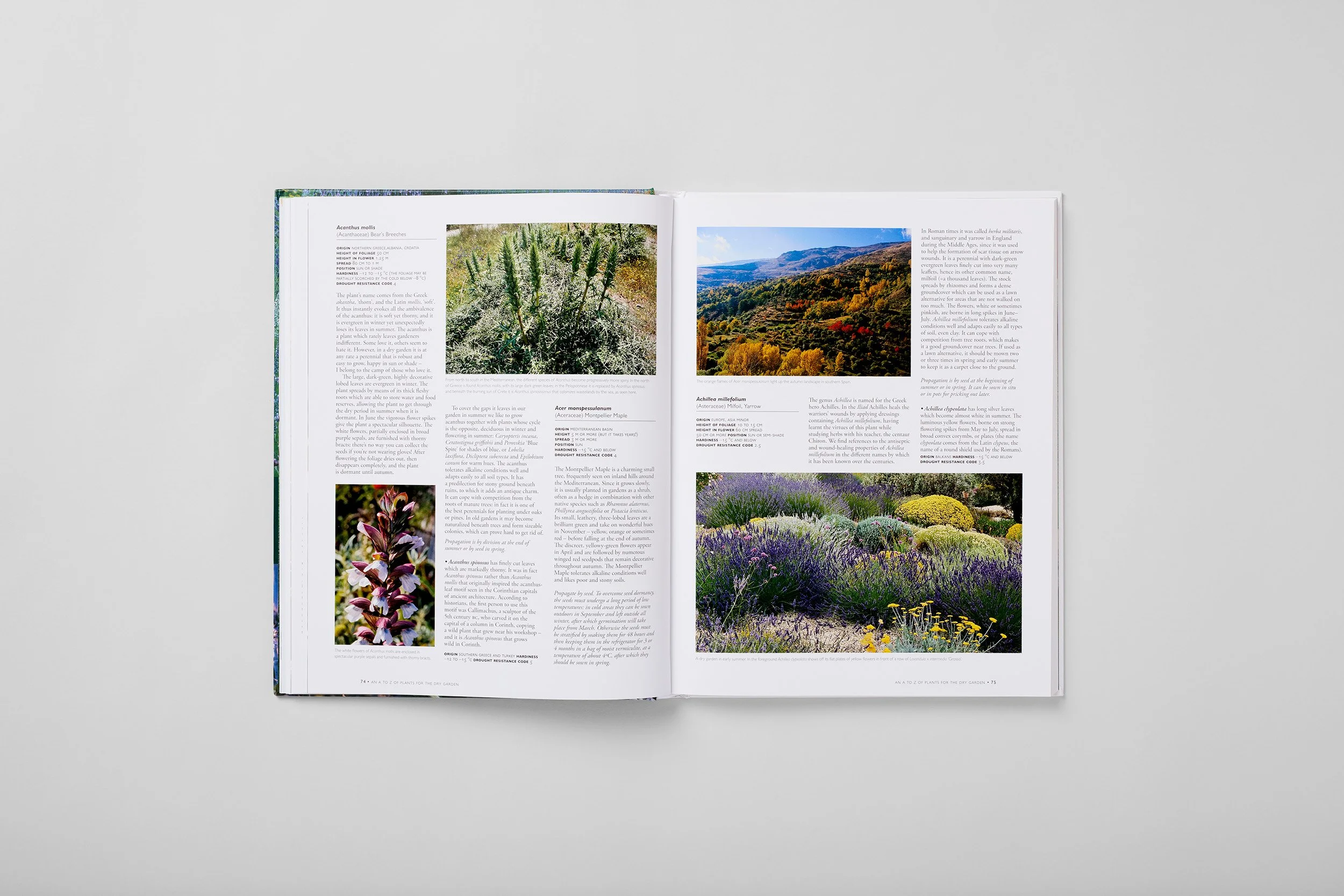 Innenseite aus The Dry Gardening Handbook, Foto 4 von 6