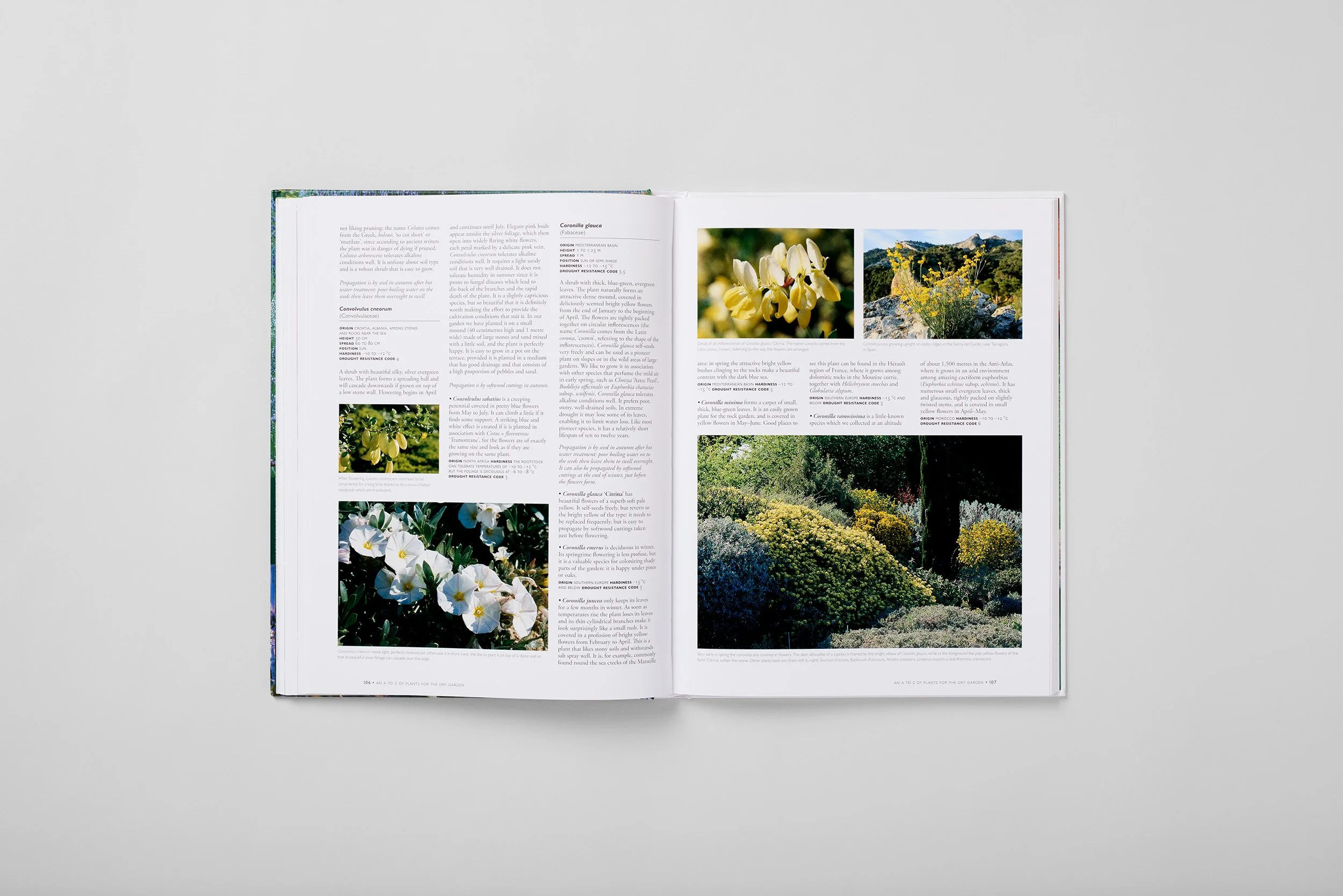 Innenseite aus The Dry Gardening Handbook, Foto 5 von 6
