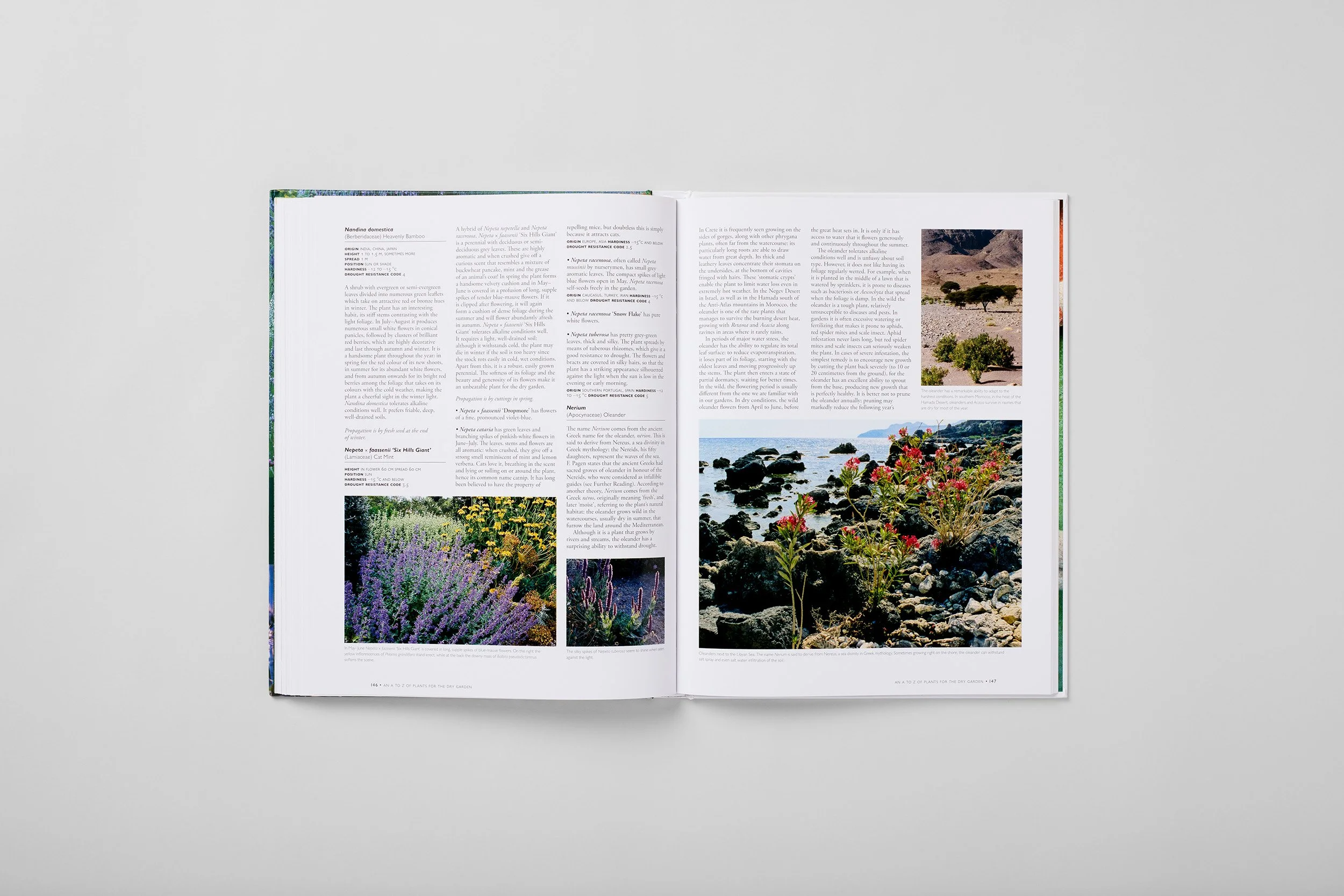 Innenseite aus The Dry Gardening Handbook, Foto 6 von 6