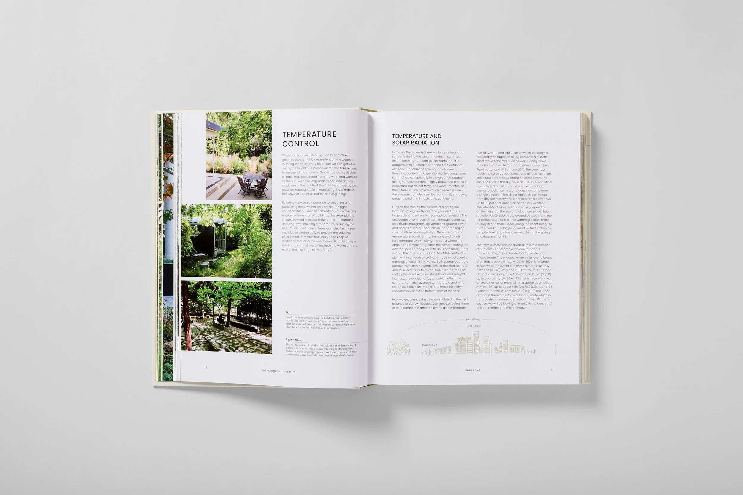Interior spread from The Essential Tree Selection Guide, photograph 1 of 4