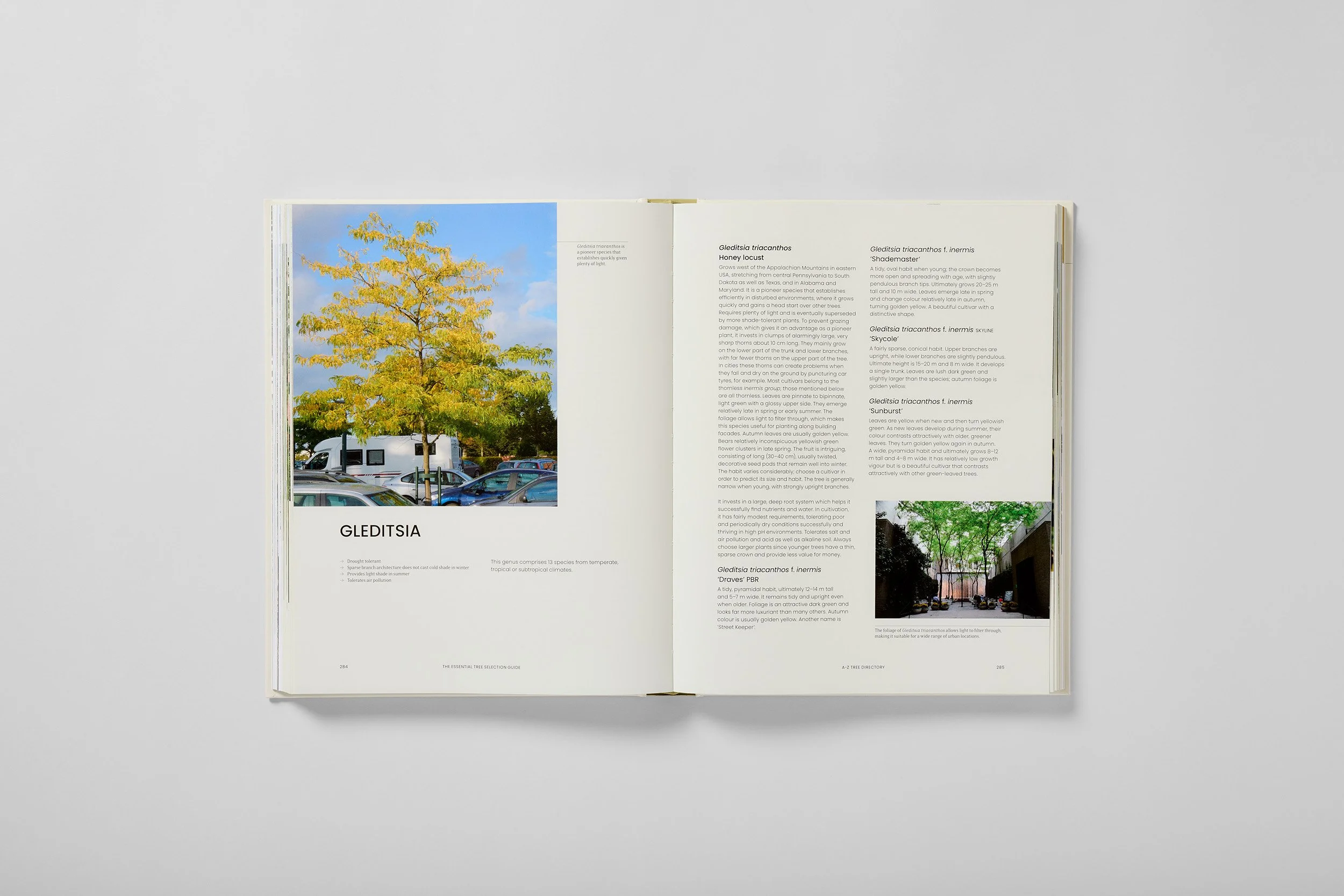 Interior spread from The Essential Tree Selection Guide, photograph 3 of 4