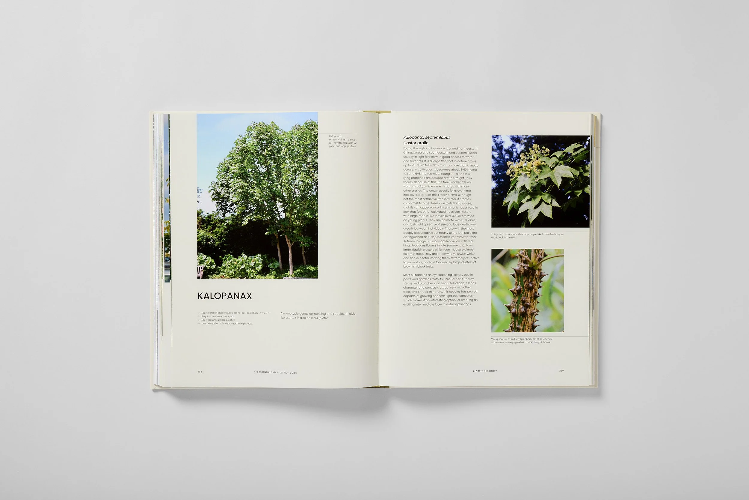 Interior spread from The Essential Tree Selection Guide, photograph 4 of 4