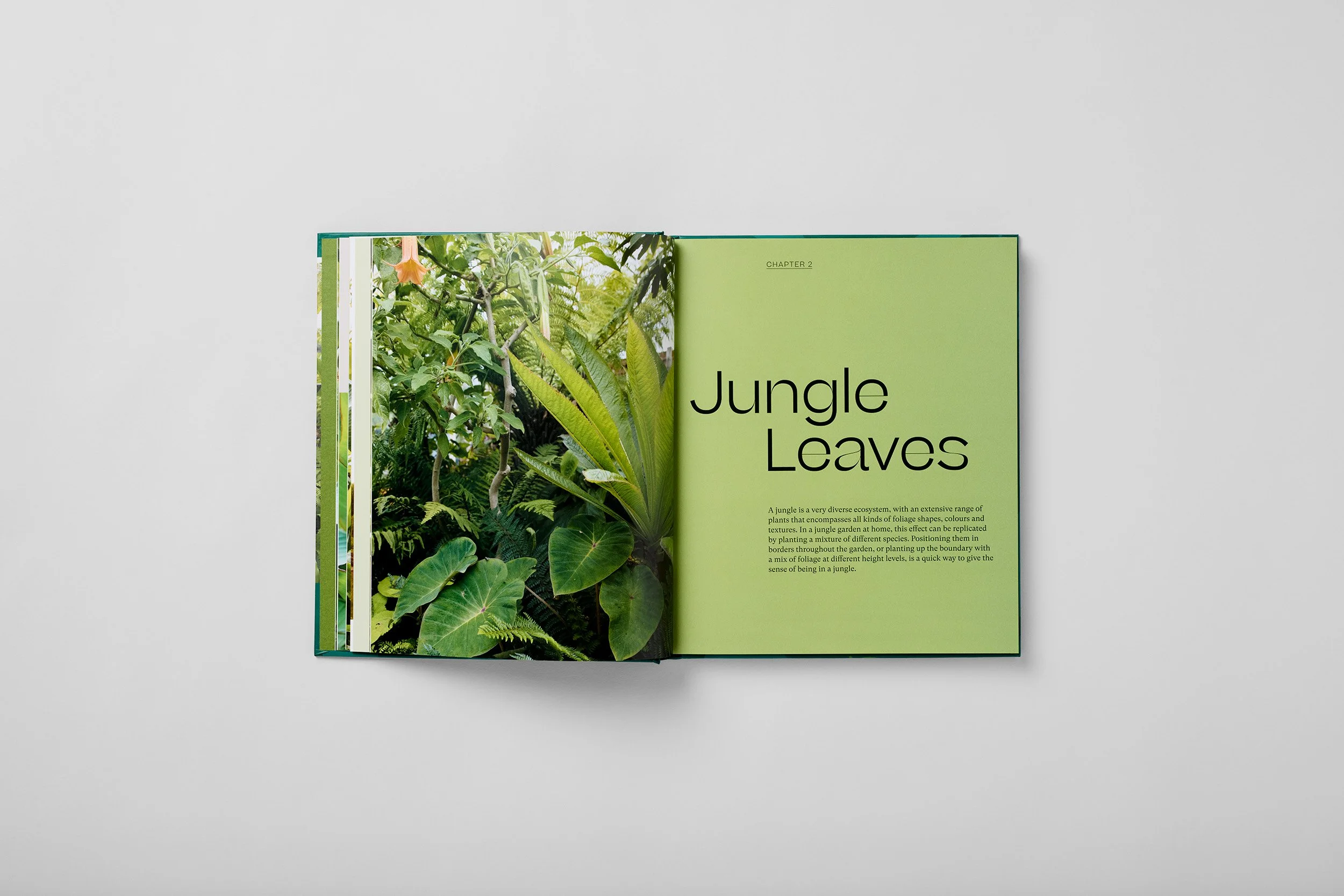 Innenseite aus The Jungle Garden, Foto 1 von 6