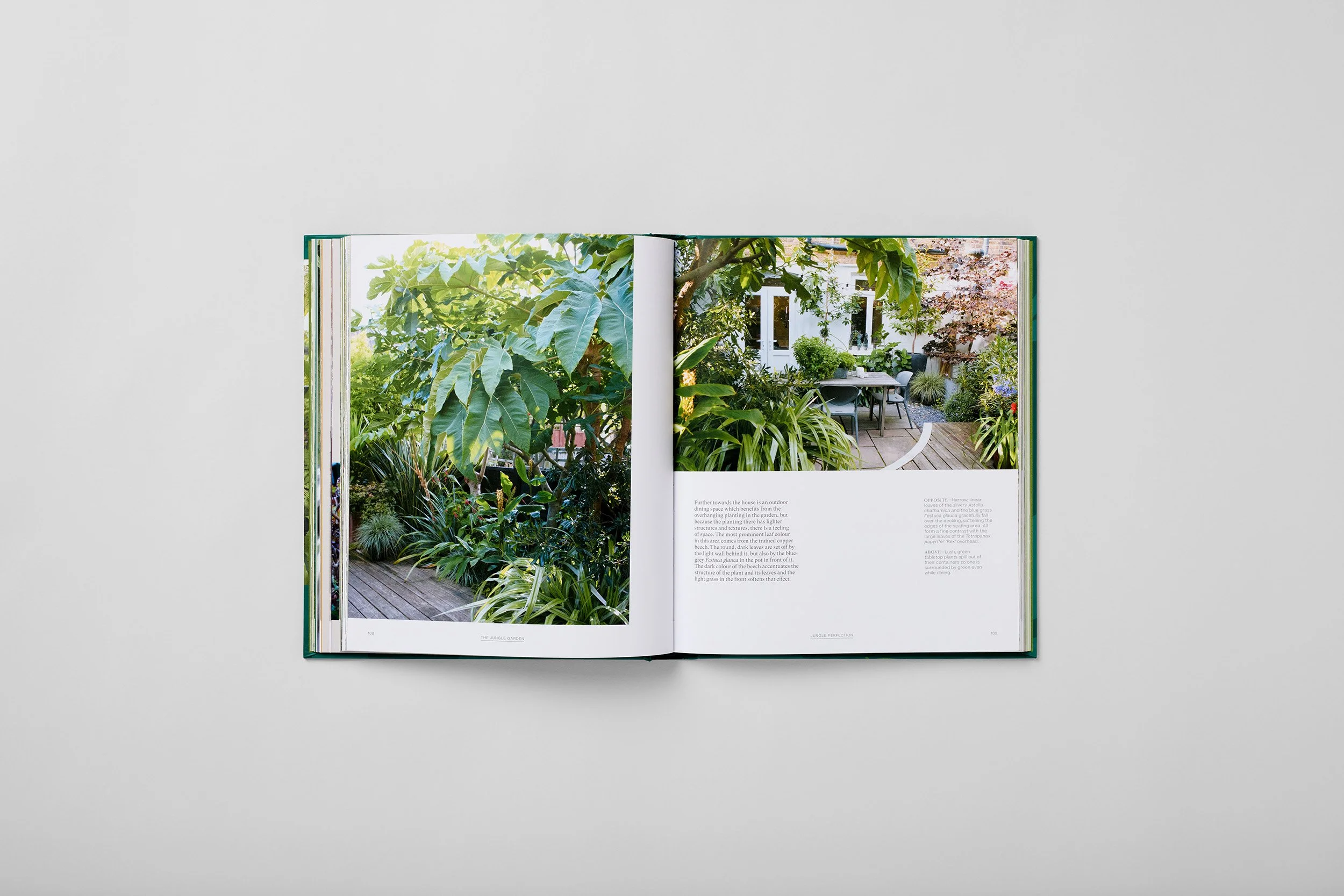 Innenseite aus The Jungle Garden, Foto 4 von 6