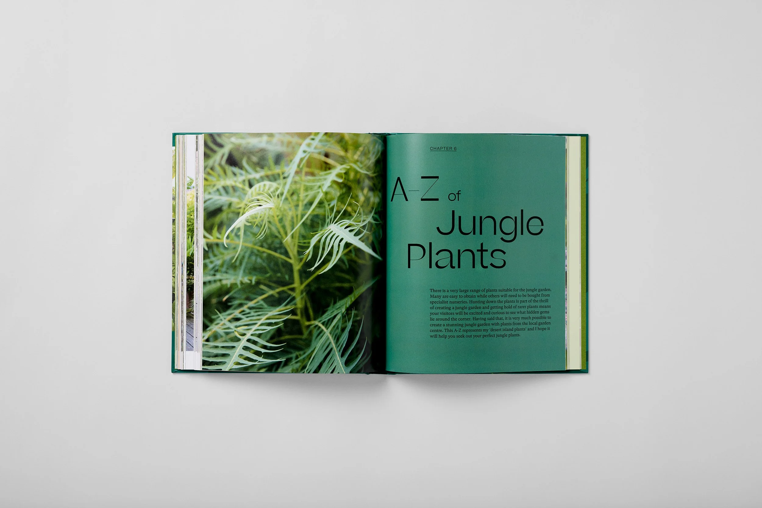 Innenseite aus The Jungle Garden, Foto 5 von 6